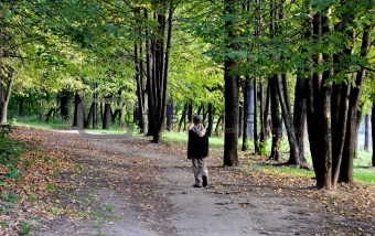 walking in autumn forest alone