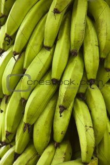 Bunch of Green Bananas