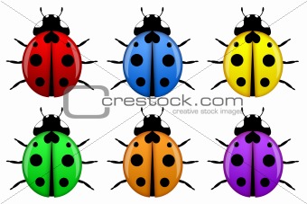 Ladybugs in Different Colors Isolated