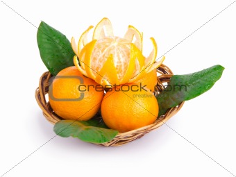 Tangerines in a wattled plate