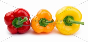 Paprika isolated on a white background
