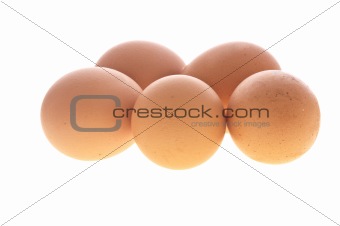 Five Eggs Isolated On White Background