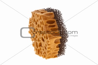 Sponge For Cleaning