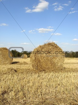 golden straw bales