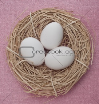 Eggs in a Nest