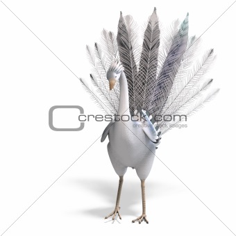 white fantasy bird with beautiful feathers