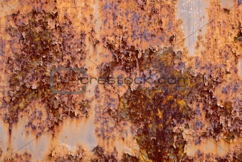 Rust door