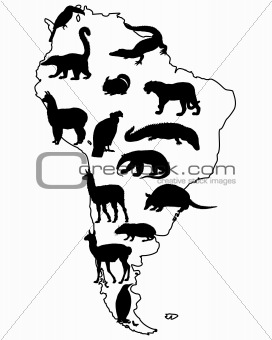 Animals South America
