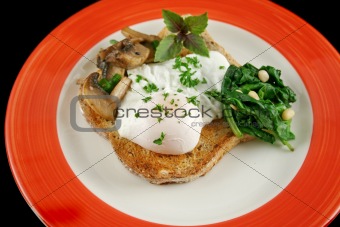 Poached Egg Breakfast 