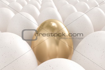 Golden egg standing out from the crowd