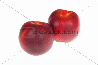 pair of ripe nectarines