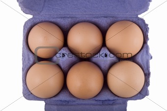 brown hens eggs in blue egg carton