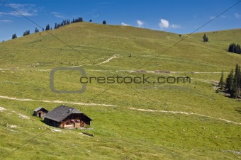 Austrian Pasture