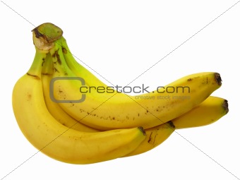 Ripe bananas isolated on white background 