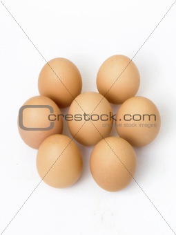 Seven eggs in a round shape