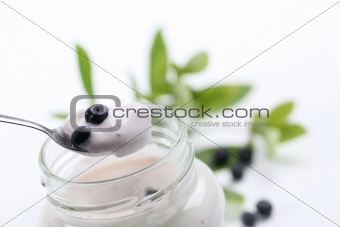 Yogurt with wild blueberries