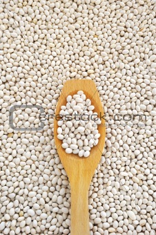 Wooden spoon and dried white navy beans