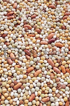 Mixed pulse - lentils, peas, soybeans, beans - background