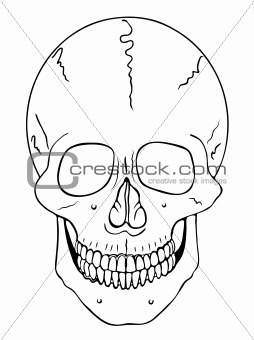 smiling skull - vector