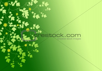 Abstract background from plants
