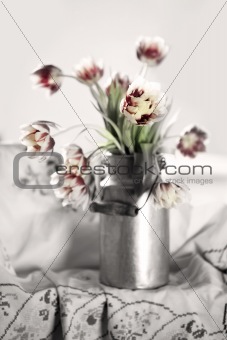 Tulips in old Milk Can