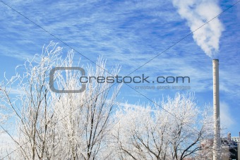 Winter scene frosted branches with industrial smokestack