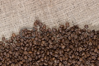 Coffee beans and canvas