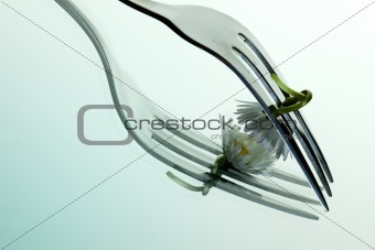 Steel Fork and flower