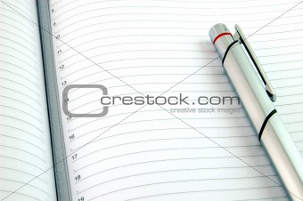 Pen on Blank Lined Paper