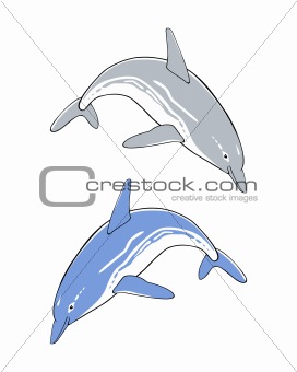 Cute jumping dolphins