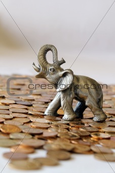 Elephant and coins