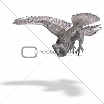 Grey Owl Bird