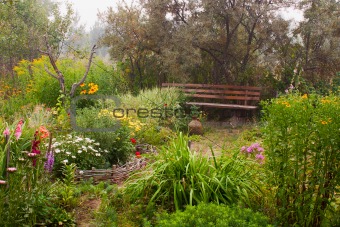 Forgotten garden yard in fog.