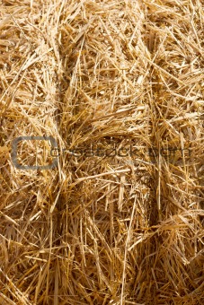 Wheat Haystacks background.