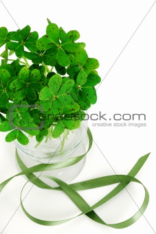 Closeup of bouquet of false shamrock with green ribbon