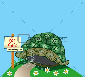 Foreclosed Turtle home