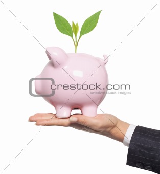 Protect your mone. Financial concept - piggy bank in woman hand