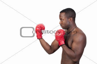 Black Man Boxer