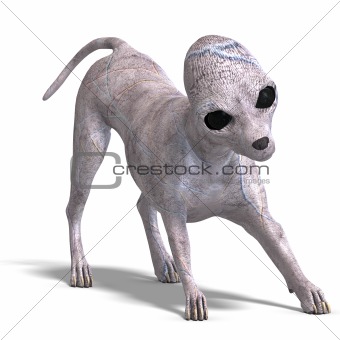 strange alien dog from area 51