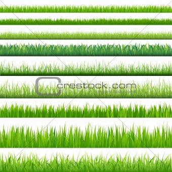 Big Set Grasses 