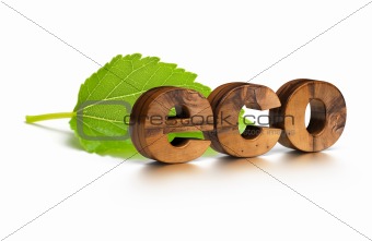 wooden eco word and green leaf