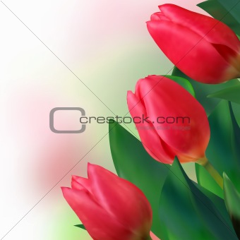 Bouquet of beautiful red tulips. EPS 8