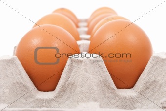 Brown eggs in box 