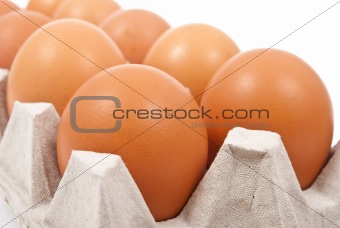 Brown eggs in box 