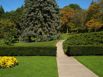 garden with pathway