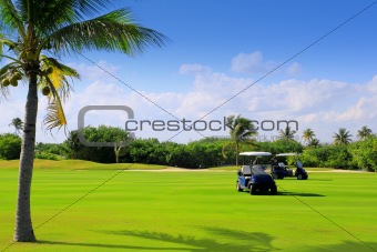 golf course tropical palm trees in Mexico