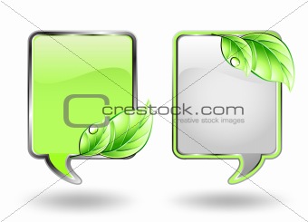 Two banner with green leaf. Vector