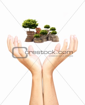 Hands and coins, isolated on white background 
