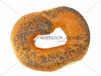 A delicious bagel with poppy seeds isolated on a white background 