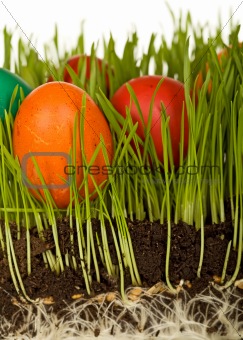 The science of easter eggs in the grass